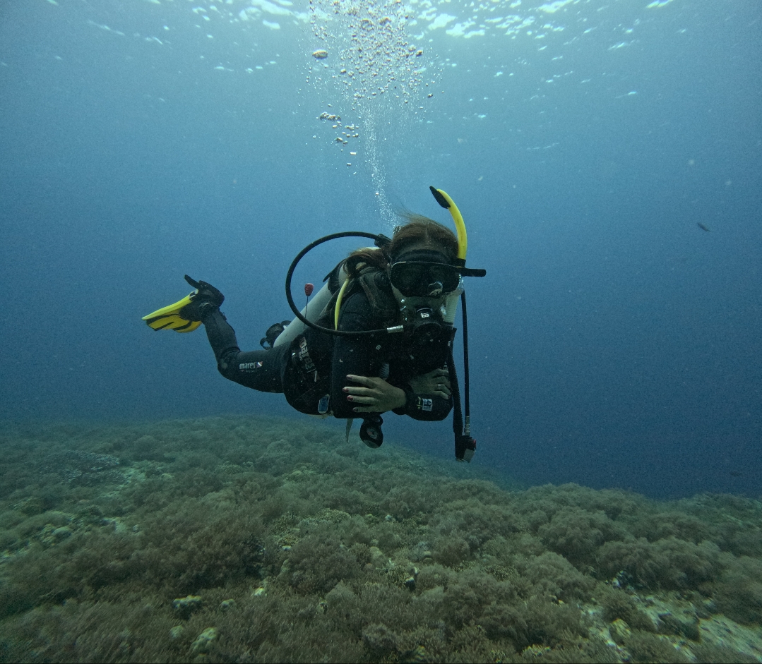 Webdeveloper Webdesigner WebCreator